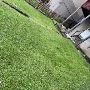 lawn care by Dortch lawn care reviewed on July 25, 2023