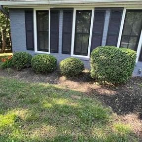 Bush Trimming by Hawk Landscaping and Home Solutions reviewed on August 20, 2025