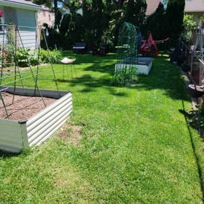 turf maintenance by Howies Lawn Service LLC reviewed on July 3, 2024