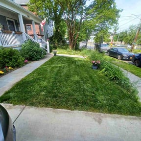 landscaping services by ON SITE LAWN SERVICE LLC. reviewed on August 17, 2025