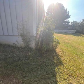 Bush Trimming by Keep it green reviewed on October 18, 2025