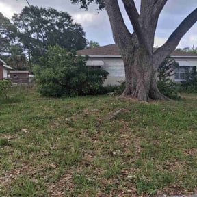 Leaf Removal by The Williams reviewed on September 26, 2025