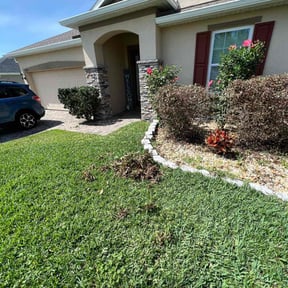 Bush Trimming by Ja-La Handyman & Mower reviewed on August 16, 2025