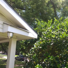 Bush Trimming by Leneirs Landscaping reviewed on August 20, 2025