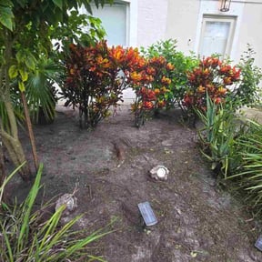 Flower Bed Weeding by Nettieboys lawn care llc reviewed on April 25, 2024