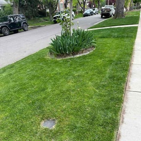 residential landscaping by Caring Contractors LLC reviewed on August 18, 2025