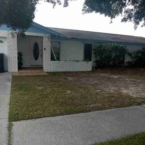 Leaf Removal by Apexx Contracting llc reviewed on September 17, 2025