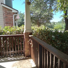 Bush Trimming by Pro Care reviewed on August 18, 2025