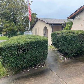 Bush Trimming by All Season Lawn Care & Snow Removal reviewed on August 16, 2025