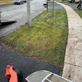 Leaf Removal by Little Services reviewed on September 21, 2025