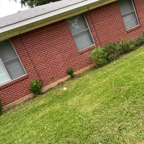 Bush Trimming by To-Doers Lawn Care reviewed on August 19, 2025