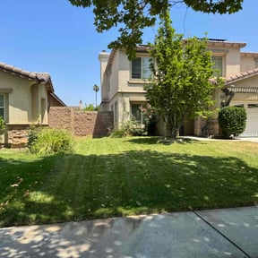 landscaping services by Salvador Lawn and Tree Service reviewed on August 19, 2025