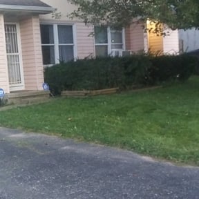 Bush Trimming by D&G Lawn Care reviewed on August 20, 2025