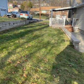 Leaf Removal by Pressed4Time lawn care reviewed on December 25, 2025