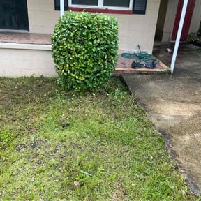 Bush Trimming by Marroquin Landscaping reviewed on November 20, 2025