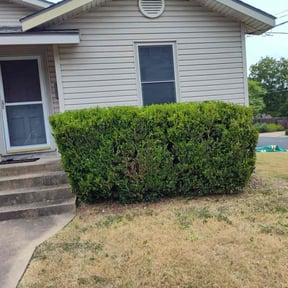 Bush Trimming by Top Cut professional lawn services reviewed on August 18, 2025