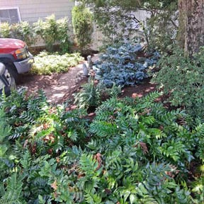 Leaf Removal by Eagles lawncare reviewed on July 10, 2026