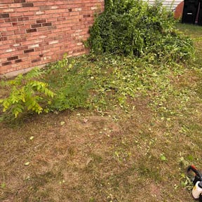 Flower Bed Weeding by Morgan Landscaping LLC reviewed on July 21, 2026