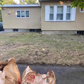 Leaf Removal by Ed&#039;s landscaping reviewed on September 6, 2025