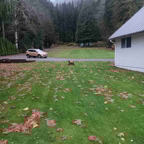 Leaf Removal by Southern Serenity Landscaping reviewed on November 24, 2025