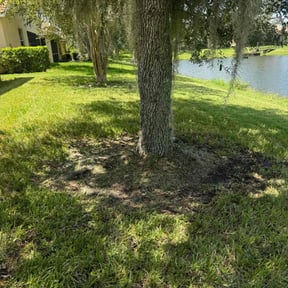 landscaping by King's lawn care services reviewed on August 20, 2025