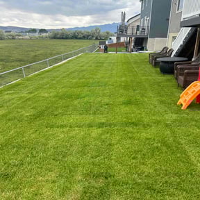 landscaping by Medlyn Services L.L.C reviewed on August 16, 2025