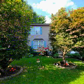 landscaping services by Mr. Mow's it All reviewed on August 20, 2025