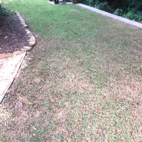 Bush Trimming by Red Rose Lawn Care reviewed on August 18, 2025