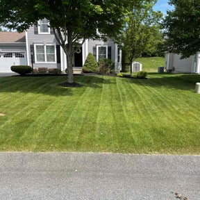 lawn maintenance by Alexandrino lawn care reviewed on September 6, 2024