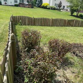 Bush Trimming by JL Landscaper and Renovation LLC reviewed on June 11, 2026