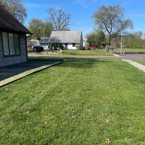 yard care by Lawn Patrol reviewed on August 19, 2025
