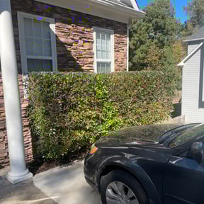 Bush Trimming by C&J Lawn Care reviewed on August 16, 2025