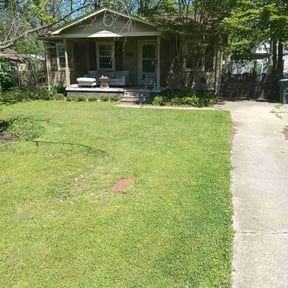 yard care by Vanessa's lawncare services reviewed on August 15, 2025