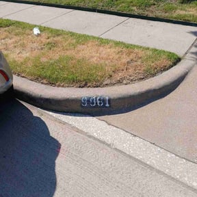 Bush Trimming by Exclusive Cuts reviewed on December 18, 2025