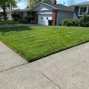 yard care by Timberline Lawn Services  reviewed on January 27, 2026