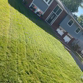 grass maintenance by We Do It All LLC reviewed on October 23, 2023