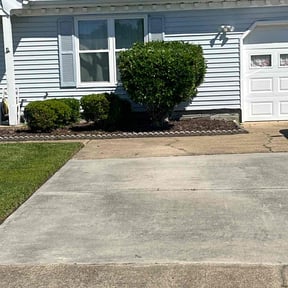 Bush Trimming by AA lawn care reviewed on August 19, 2025