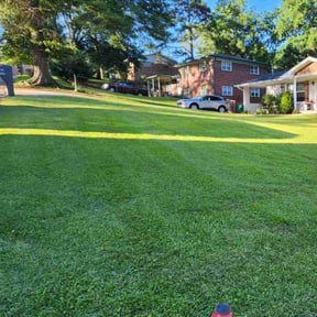 lawn maintenance by D&#039;s Lawn Care Pull Up &amp; Cut reviewed on August 18, 2025