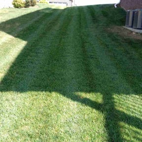 residential landscaping by Precision stripes reviewed on August 18, 2025