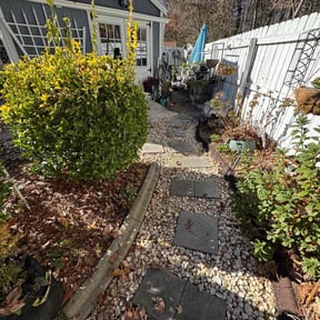 Leaf Removal by Gator State Home Services reviewed on October 11, 2026