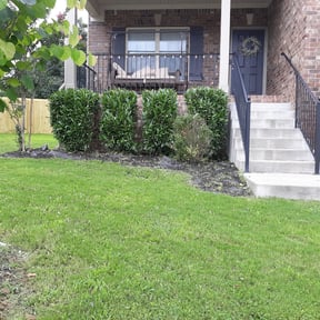 Bush Trimming by Towery's Lawn Care reviewed on August 15, 2025