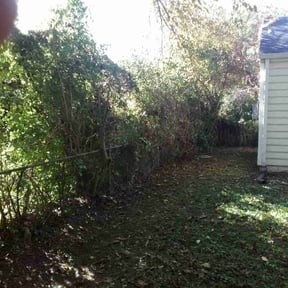 Bush Trimming by Red Machine Landscaping reviewed on August 16, 2025