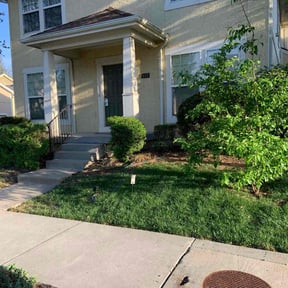 yard care by Cohen Lawn &amp; Landscaping reviewed on April 30, 2024