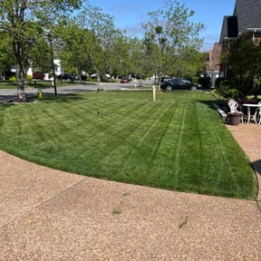grass maintenance by Capital Lawn Care reviewed on April 8, 2025
