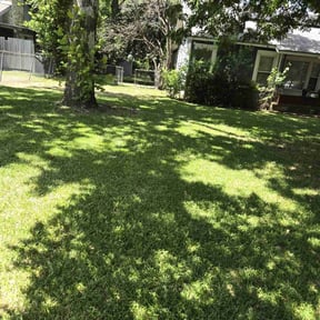 lawn service by Real Touch Services LLC reviewed on December 5, 2023