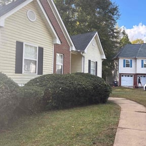 Bush Trimming by Seneca Gardens reviewed on October 21, 2025