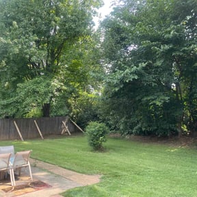 lawn maintenance by Prince Liquidation reviewed on April 20, 2024