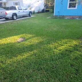 residential landscaping by Green coqui lawn services reviewed on August 17, 2025