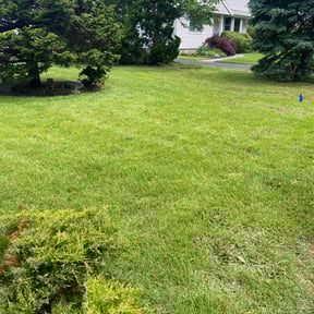 lawn care services by JLA Lawn Care reviewed on July 25, 2025