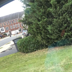 Bush Trimming by JA All purpose property management reviewed on August 21, 2025